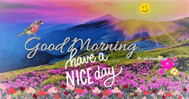Good Morning Flower GIF by The SOL Foundation