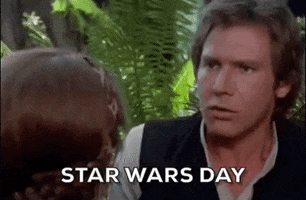 May The Fourth Be With You Star Wars GIF by Ben L
