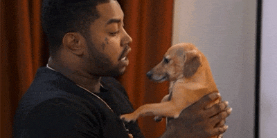 Love And Hip Hop Kiss GIF by VH1