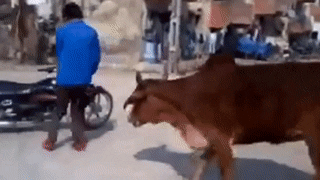 sajan new GIF