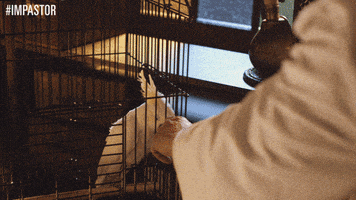 tv land lol GIF by #Impastor