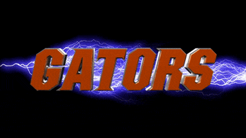 thunderstruck GIF by Florida Gators
