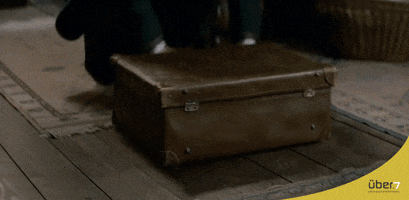 uber7 animais fantasticos e onde habitam GIF