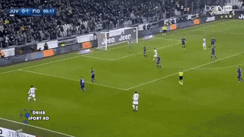 yazed  GIF