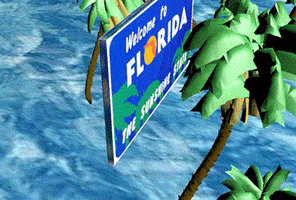 buenos aires florida GIF by /////MONOARTCHIVES//////