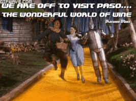 dracaenawines wine paso robles GIF