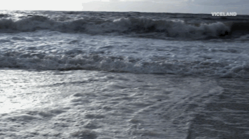 200.gif?cid=fc005b0805d1b609fd953f9f413c851f76946ef330bf29a6&rid=200.gif&ct=g