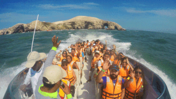 kevinalud islas ballestas GIF