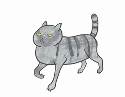 My_E GIF