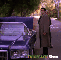 twin peaks GIF by Stan.