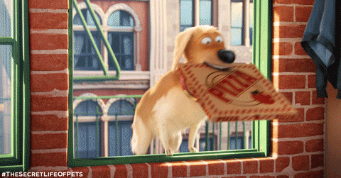 party animal GIF by The Secret Life Of Pets