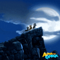 Full Moon Movie GIF by Lionsgate Home Entertainment