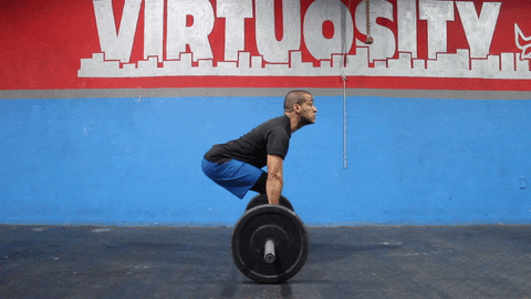Barbell Deadlifts GIFs - Get the best GIF on GIPHY