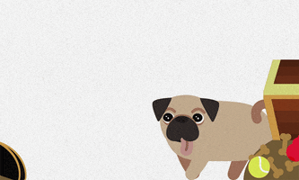 adopt animal rescue GIF by will herring