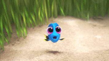 ellen degeneres disney GIF by Disney/Pixar's Finding Dory