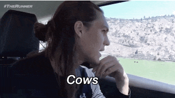 Brother Nature Lol GIF by The Runner go90