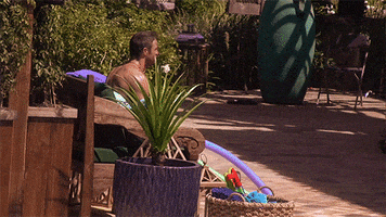 the bachelorette summer GIF by ABC Network