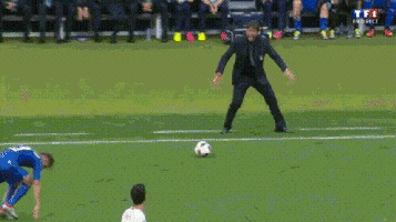 deniscarterunderwood #italy #football #uefa #2016 GIF