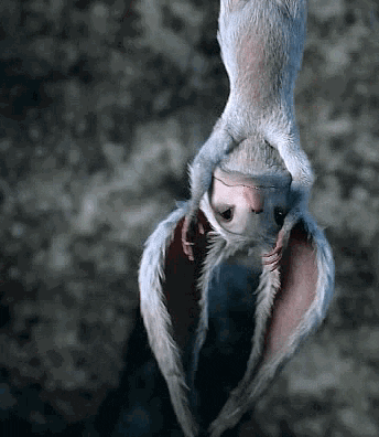 funny-and-happy funnyandhappy.com GIF