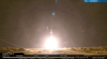 falcon 9 rocket GIF by Product Hunt