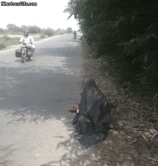 dengrora  GIF