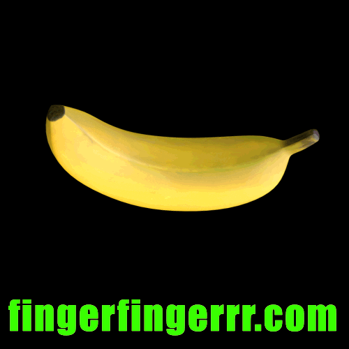 fingerfingerrr  GIF