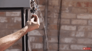 alisun  GIF
