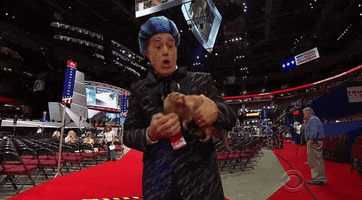 surprised let's go GIF by The Late Show With Stephen Colbert