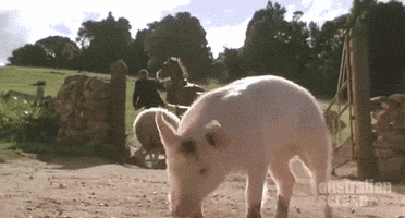 myonlyalias  GIF