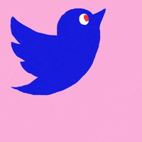 Twitter Marketing Team Gifs Get The Best Gif On Giphy