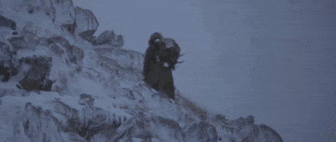 200.gif?cid=fc005b08c334d2b74396ac5a73cc97b8a6c15906b934070e&rid=200.gif&ct=g