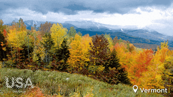 vermont GIF by Go USA Jp