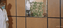 azatashurov  GIF
