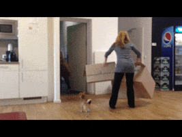 albamarianamarquez  GIF