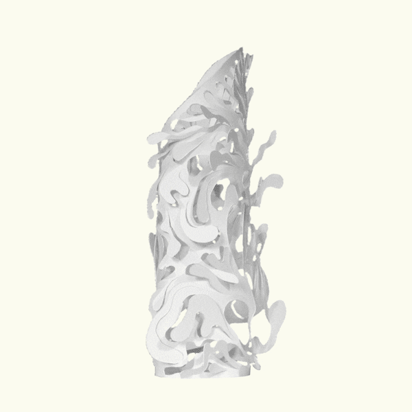 riff  GIF