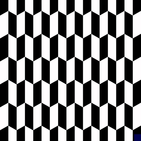 black and white art GIF by The New Big Poppa E