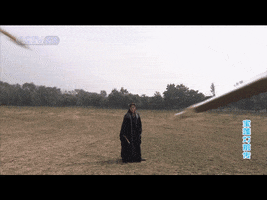 lang  GIF