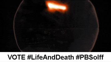 200.gif?cid=fc005b08465574ae4d521705c88b6006ea2743f2be9904cf&rid=200.gif&ct=g