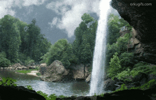 ouzo35  GIF
