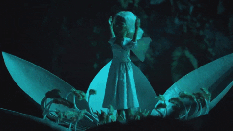 giphy.gif?cid=6c09b952oq4svb8a7b5scgf0waa8mjqmhlshkf0u9s0v2psx&ep=v1_internal_gif_by_id&rid=giphy.gif
