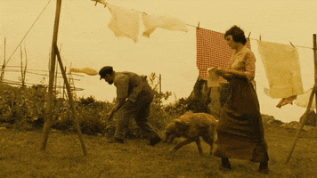 dat  GIF