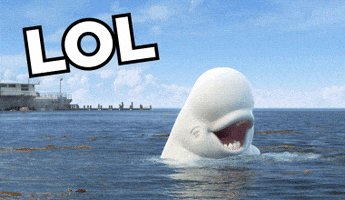 Digital art gif. A beluga whale is in a harbor, chortling heavily. They look absolutely tickled pink, and the text reads, "LOL."