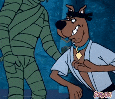 Dog Fight GIF by Scooby-Doo