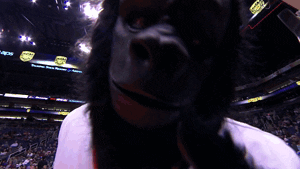 the gorilla mascot GIF by NBA