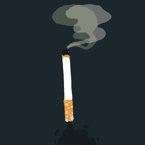 Smoke Smoking GIF by Squirlart