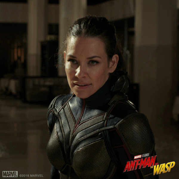 Evangeline Lilly Superhero GIF by Marvel Studios