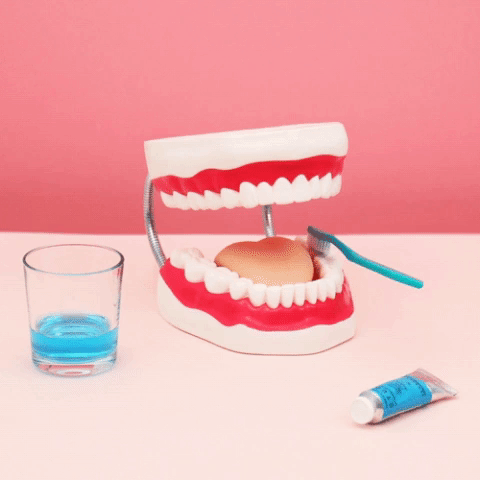 Teeth Brush GIF