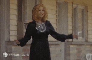 Disappointed Schitts Creek GIF by CBC
