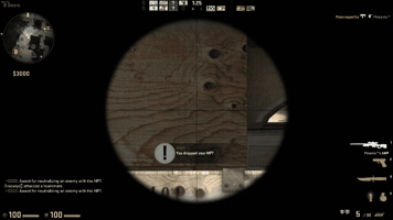 pazelloxu csgo GIF