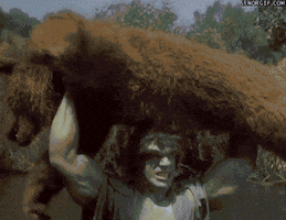 nowjersey  GIF